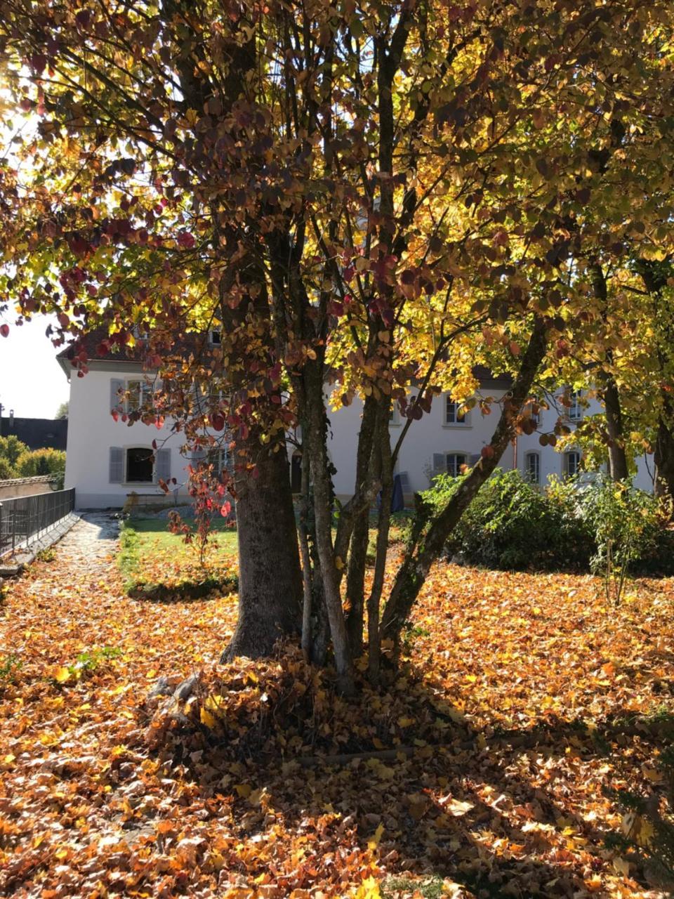 Manoir De La Cote-Dieu Porrentruy Zewnętrze zdjęcie